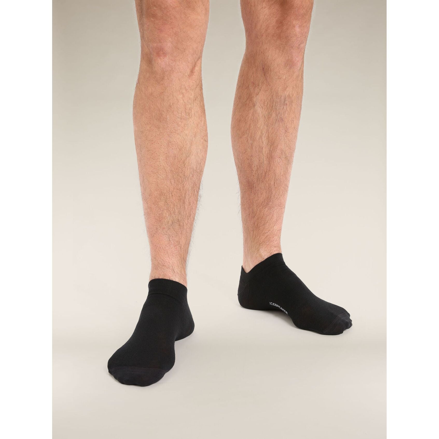Icebreaker Men's Lifestyle Fine Gauge No Show Socks