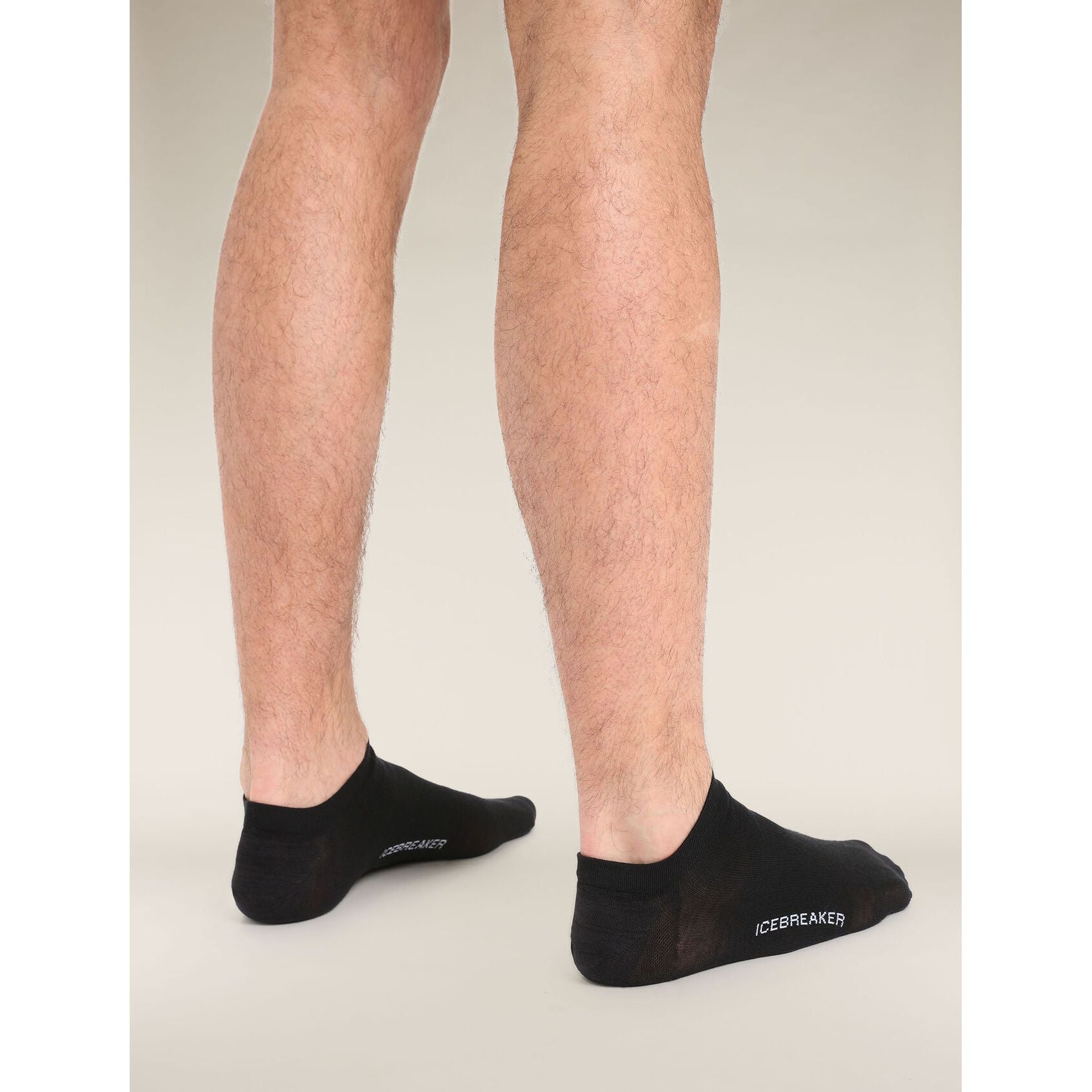 Icebreaker Men's Lifestyle Fine Gauge No Show Socks