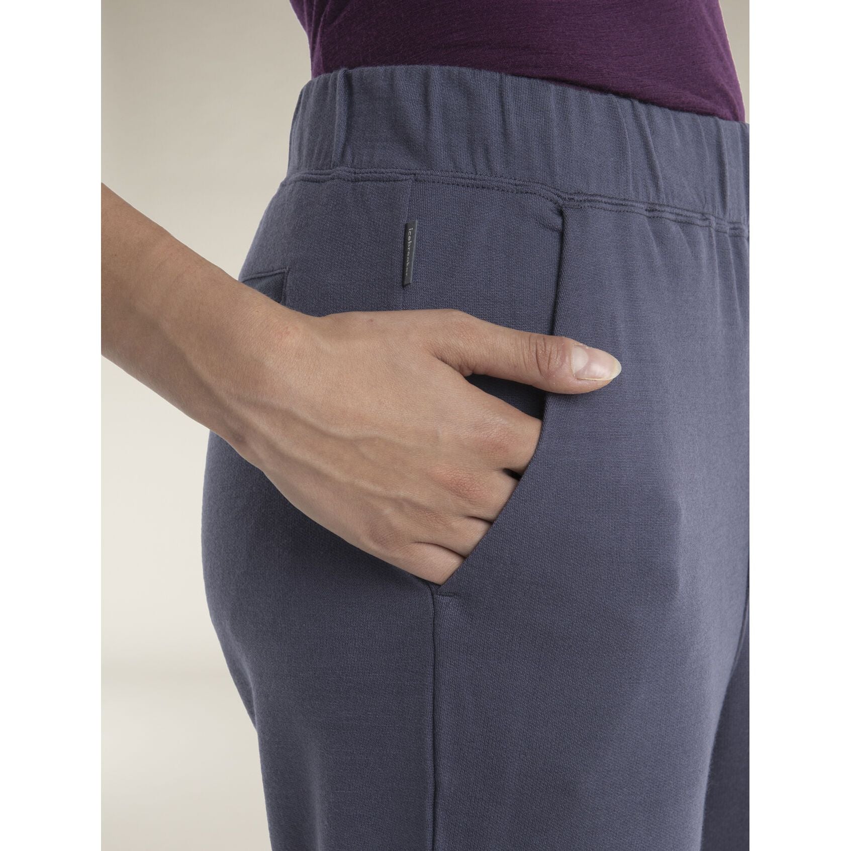 Icebreaker Women's Merino Crush II Ankle Pants