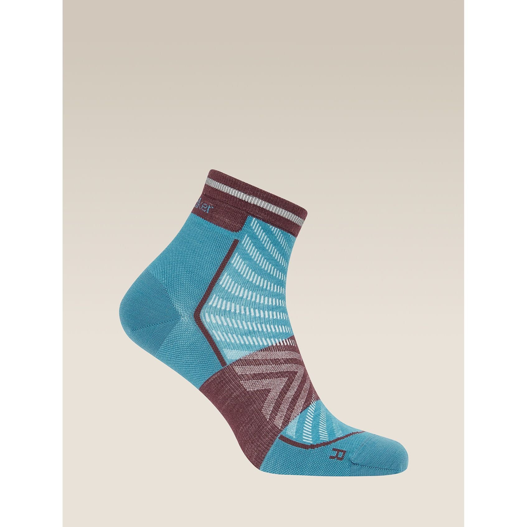 Icebreaker Men's Run+ Ultralight Mini Socks