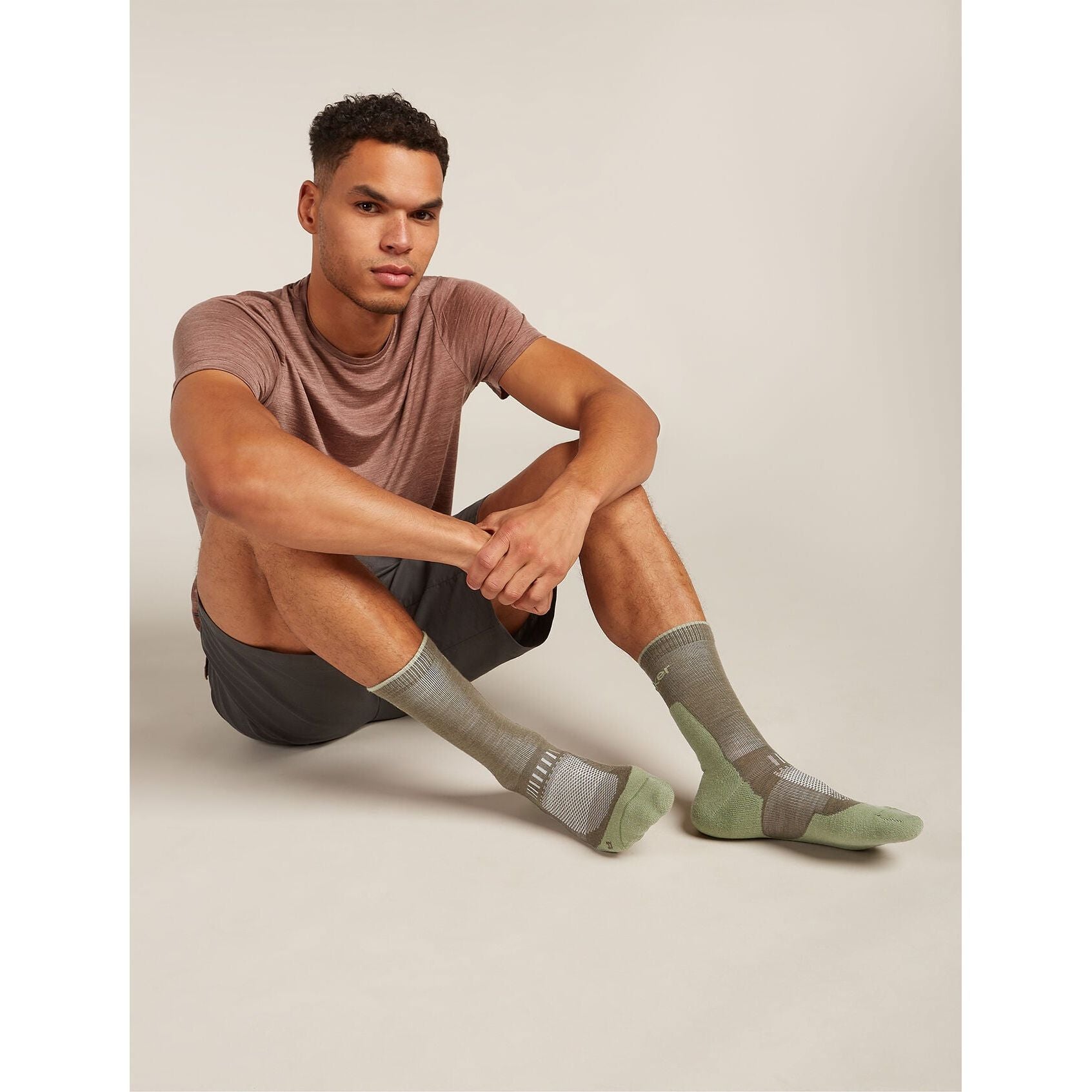 Icebreaker Men's Merino Hike+ Light Crew Socks