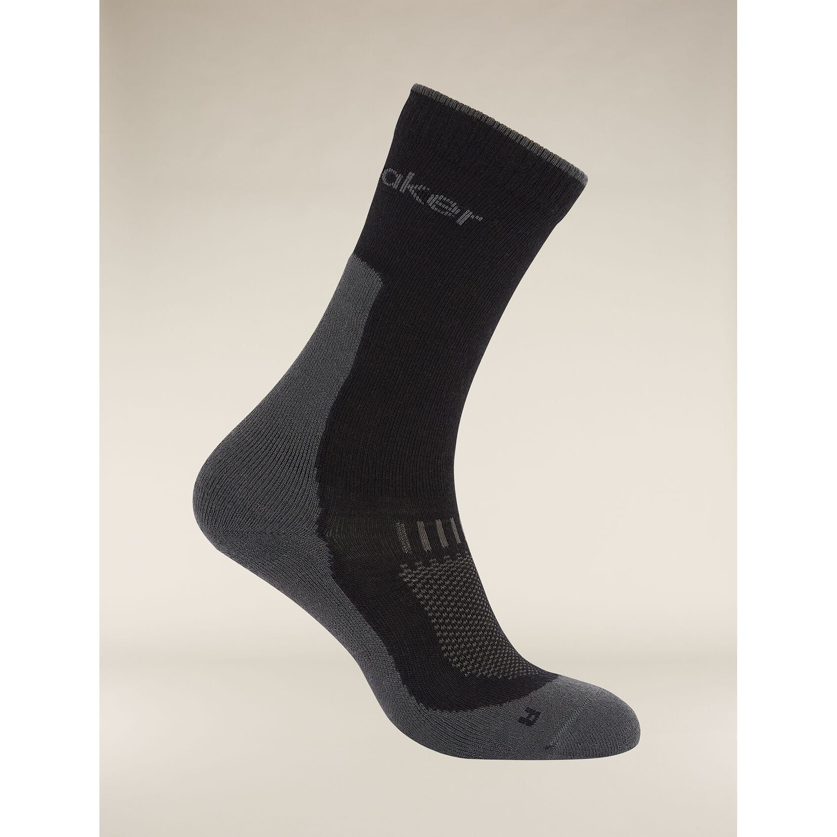 Icebreaker Men's Merino Hike+ Light Crew Socks