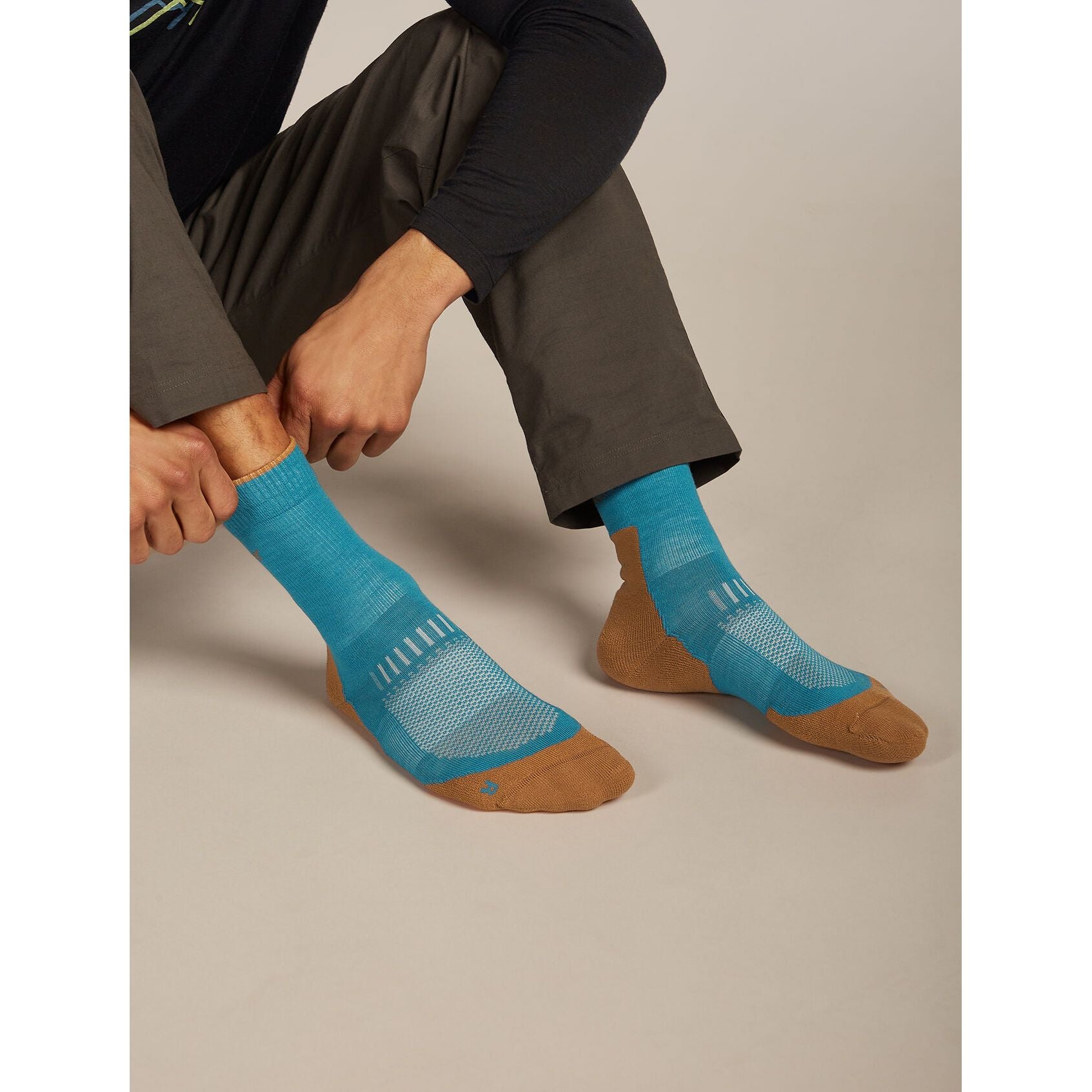 Icebreaker Men's Merino Hike+ Light Crew Socks