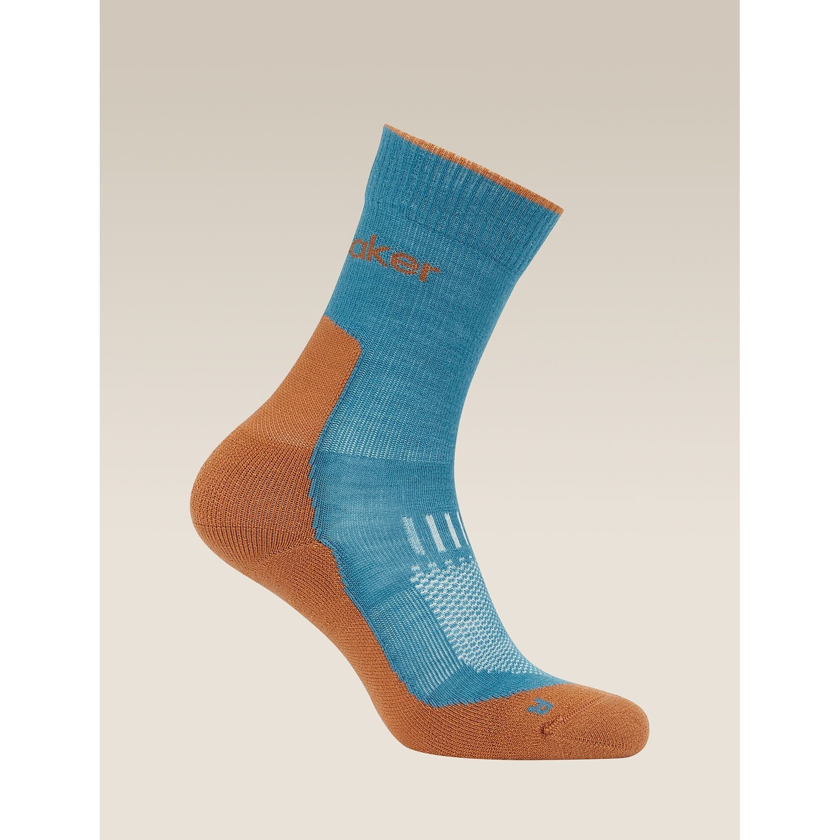 Icebreaker Men's Merino Hike+ Light Crew Socks
