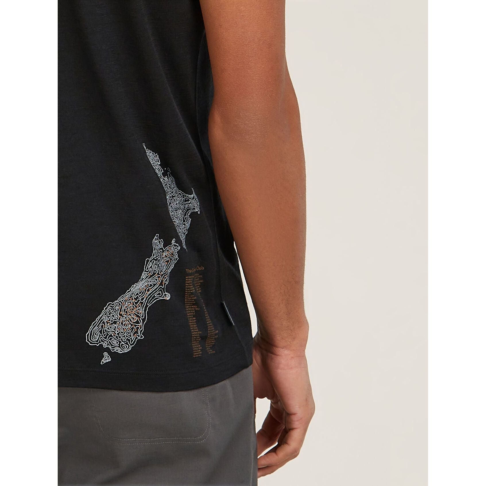 Icebreaker Women's Merino 150 Tech Lite Short Sleeve T-Shirt Icebreaker Anniversary