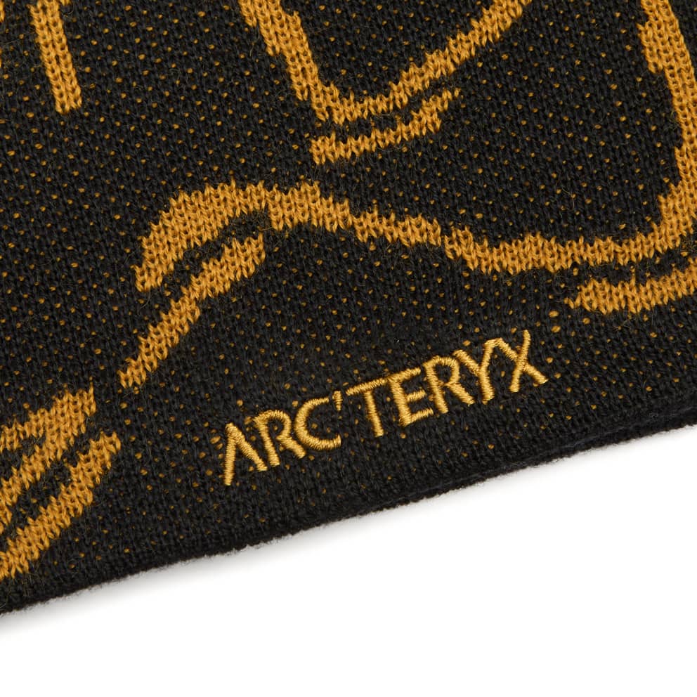 Arc'teryx Bird Head Toque Beanie