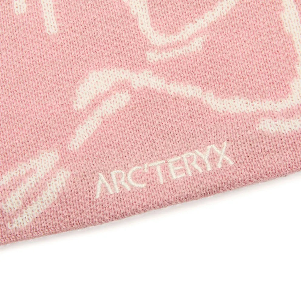 Arc'teryx Bird Head Toque Beanie