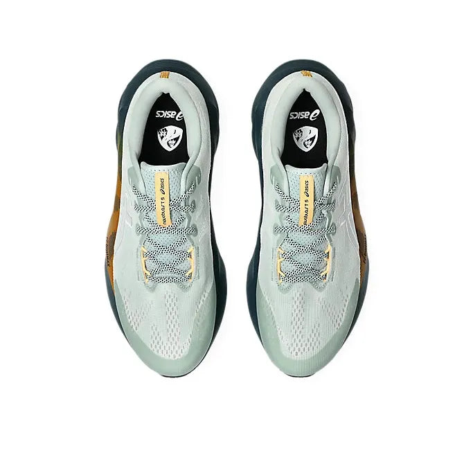 Asics Men's Novablast 5 TR Nature Bathing/Lichen Rock