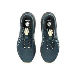 Asics Men's GT-2000 14 TR Trail Running Shoes