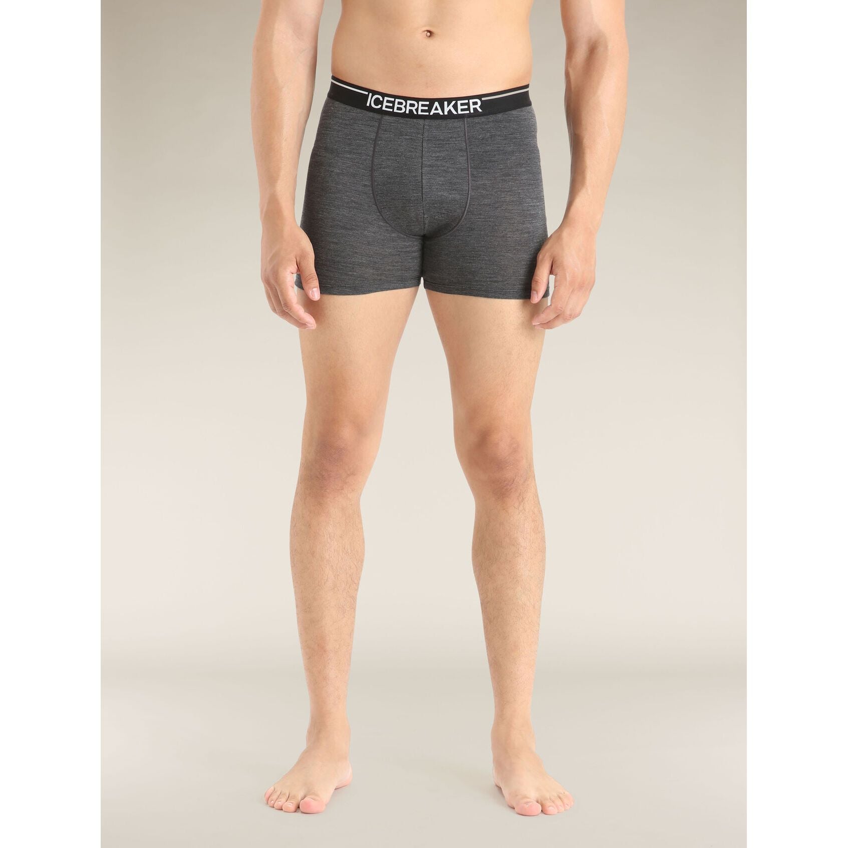 Icebreaker Men's Merino 150 Anatomica Boxers