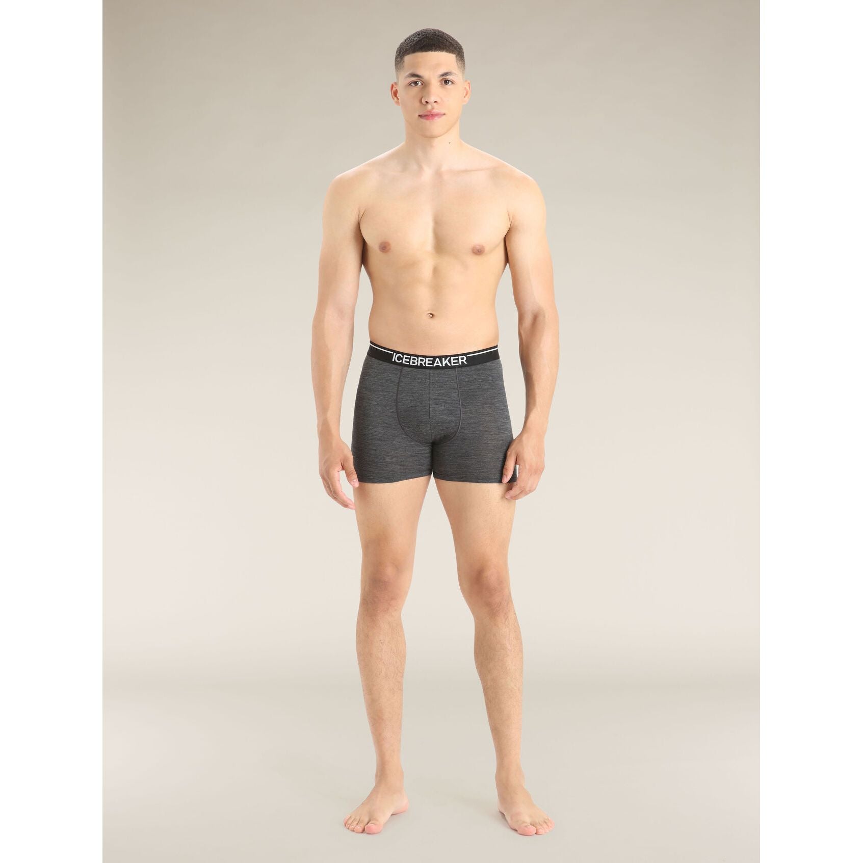 Icebreaker Men's Merino 150 Anatomica Boxers