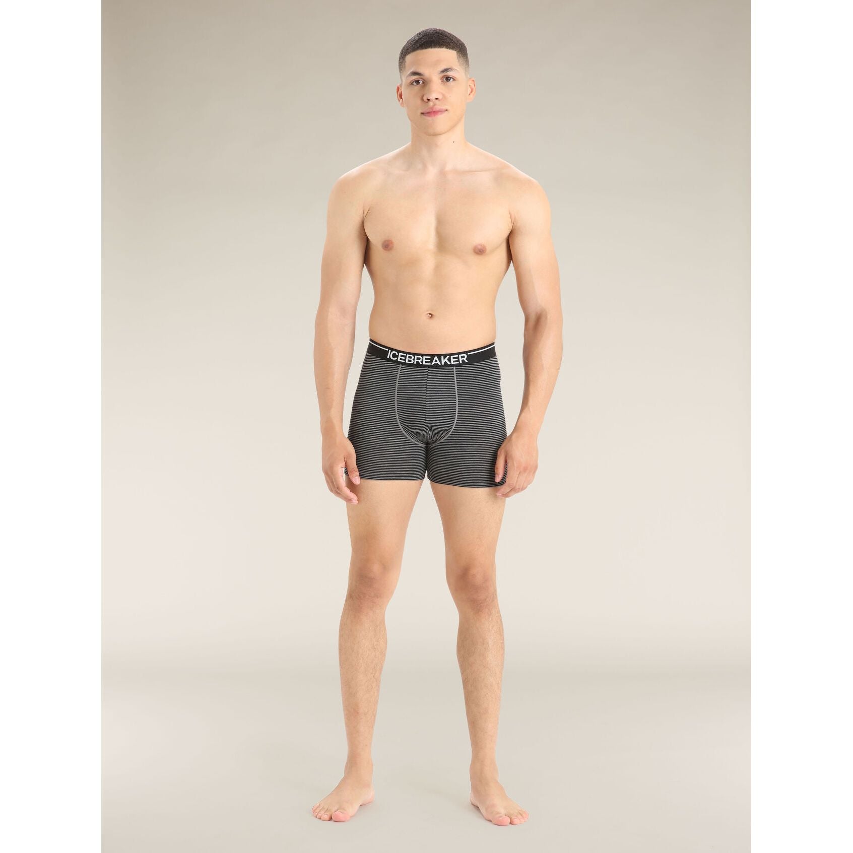 Icebreaker Men's Merino 150 Anatomica Boxers