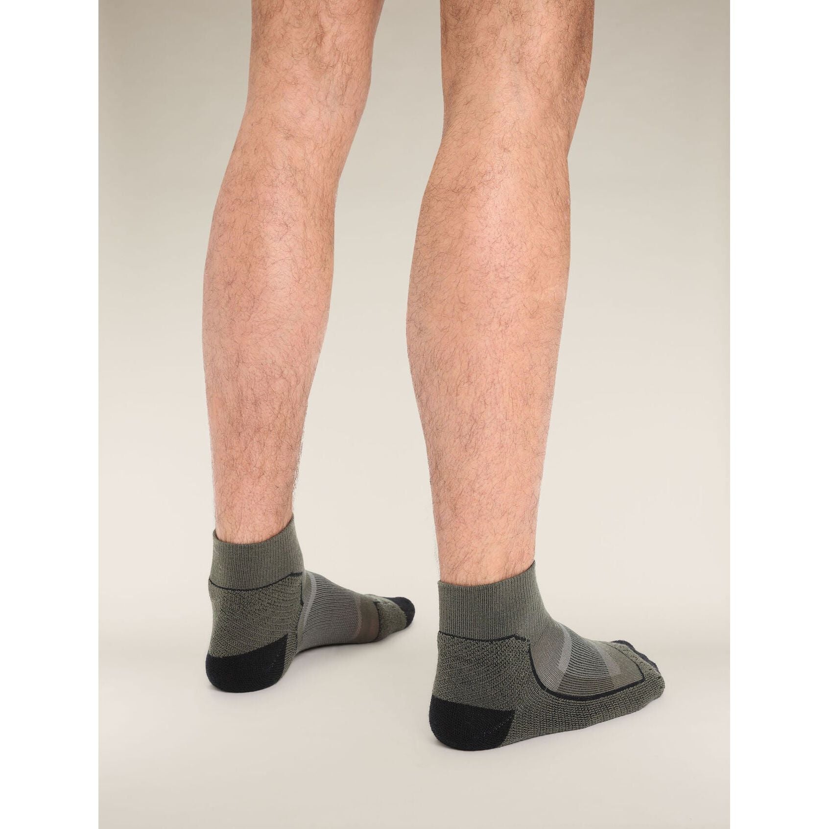 Icebreaker Men's Hike+ Light Mini Socks