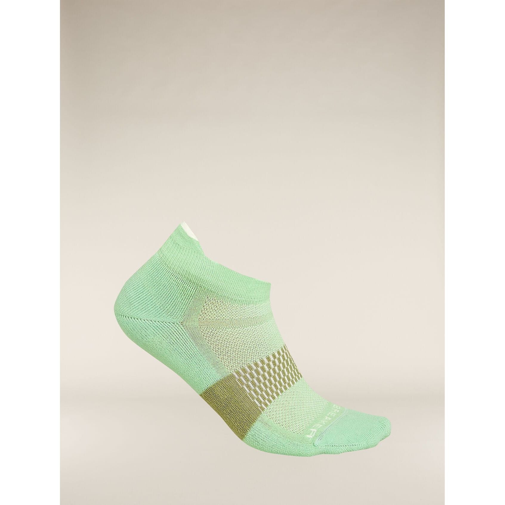 Icebreaker Women's Multisport Light Micro Socks