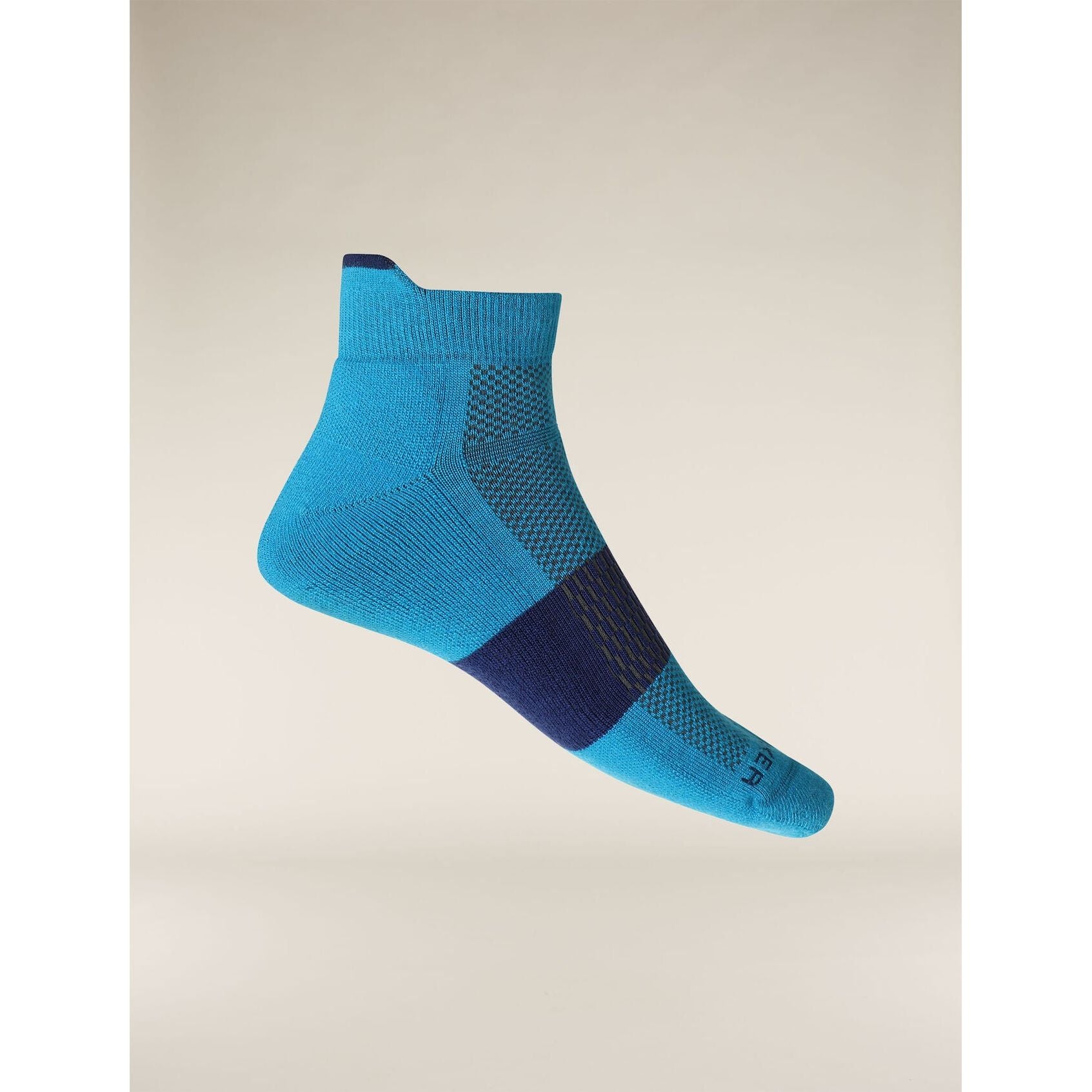 Icebreaker Men's Merino Multisport Light Mini Socks