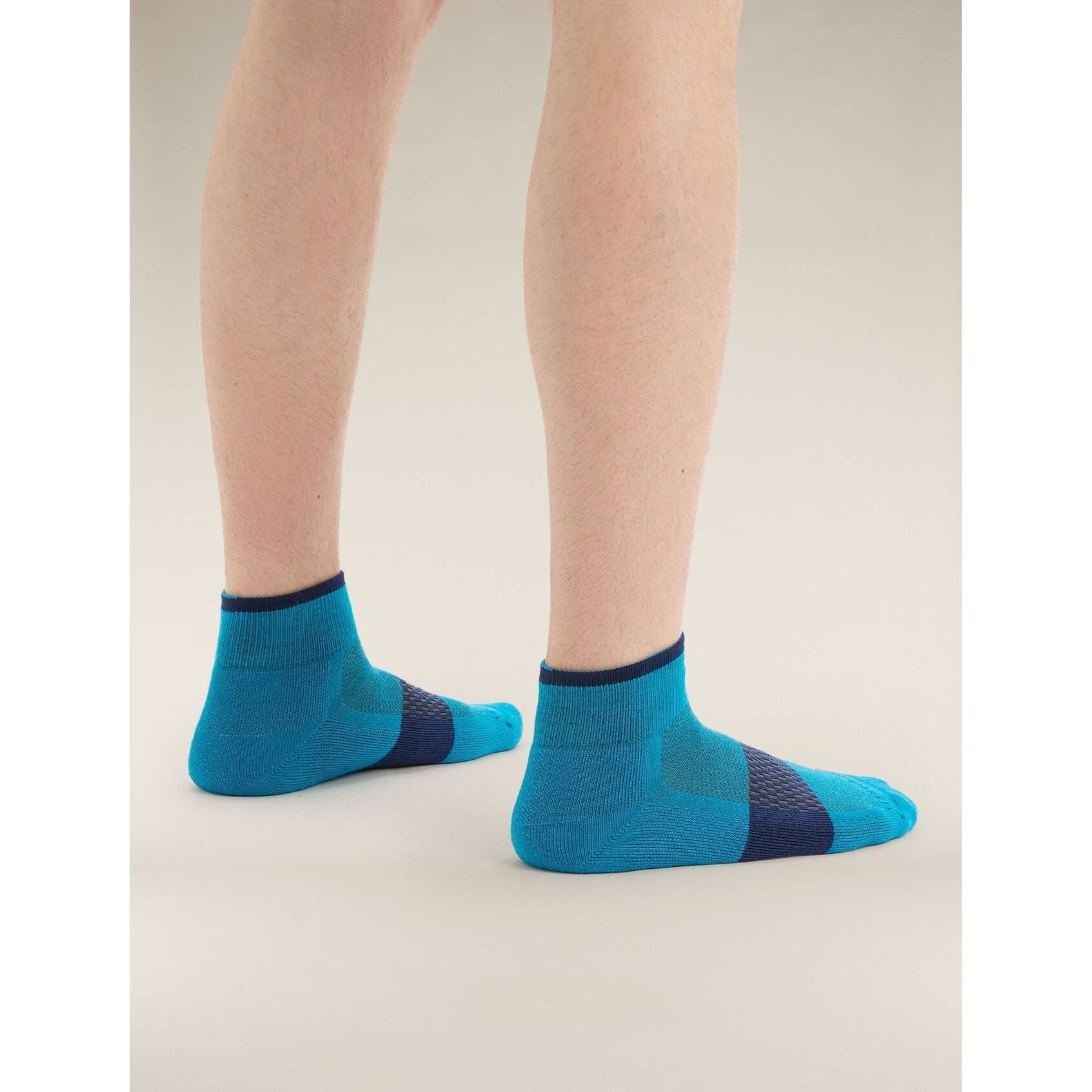 Icebreaker Men's Merino Multisport Light Mini Socks