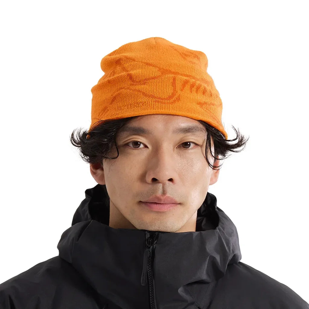 Arc'teryx Bird Head Toque Beanie