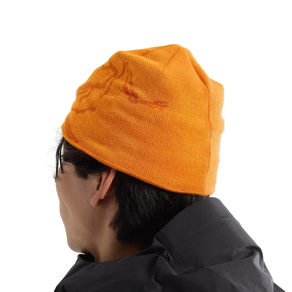 Arc'teryx Bird Head Toque Beanie
