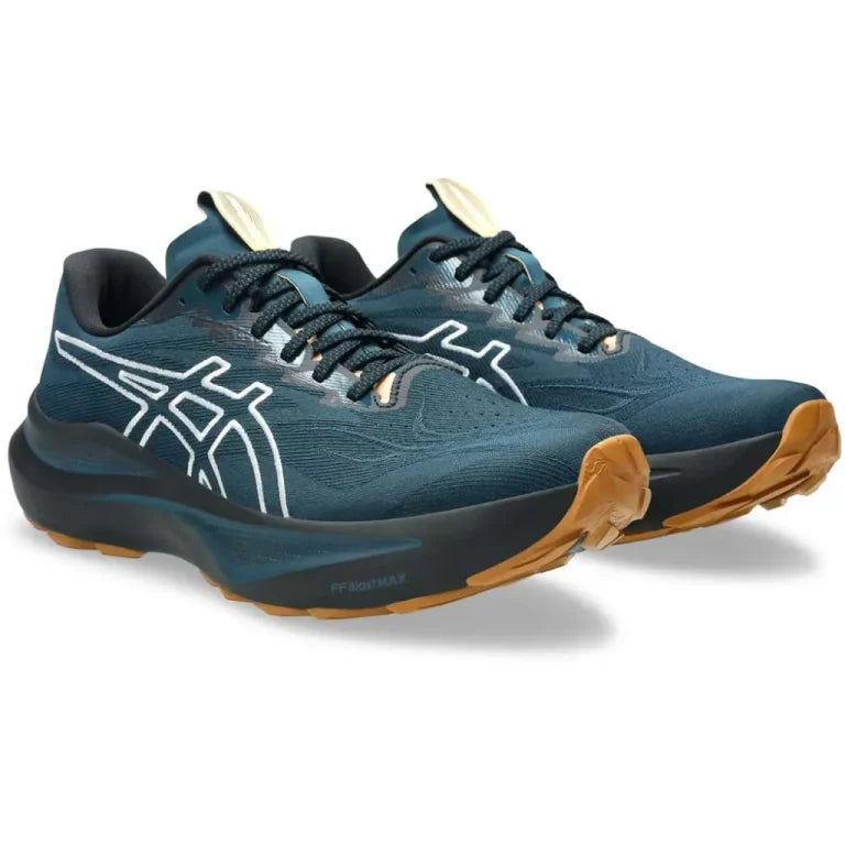 Asics Men's GT-2000 14 TR Trail Running Shoes