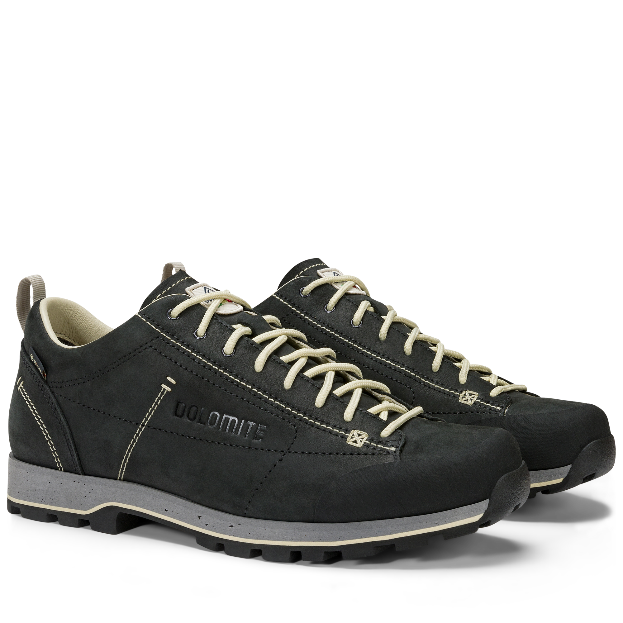 Dolomite Men's 54 Low Fg Evo Gore-Tex Shoes