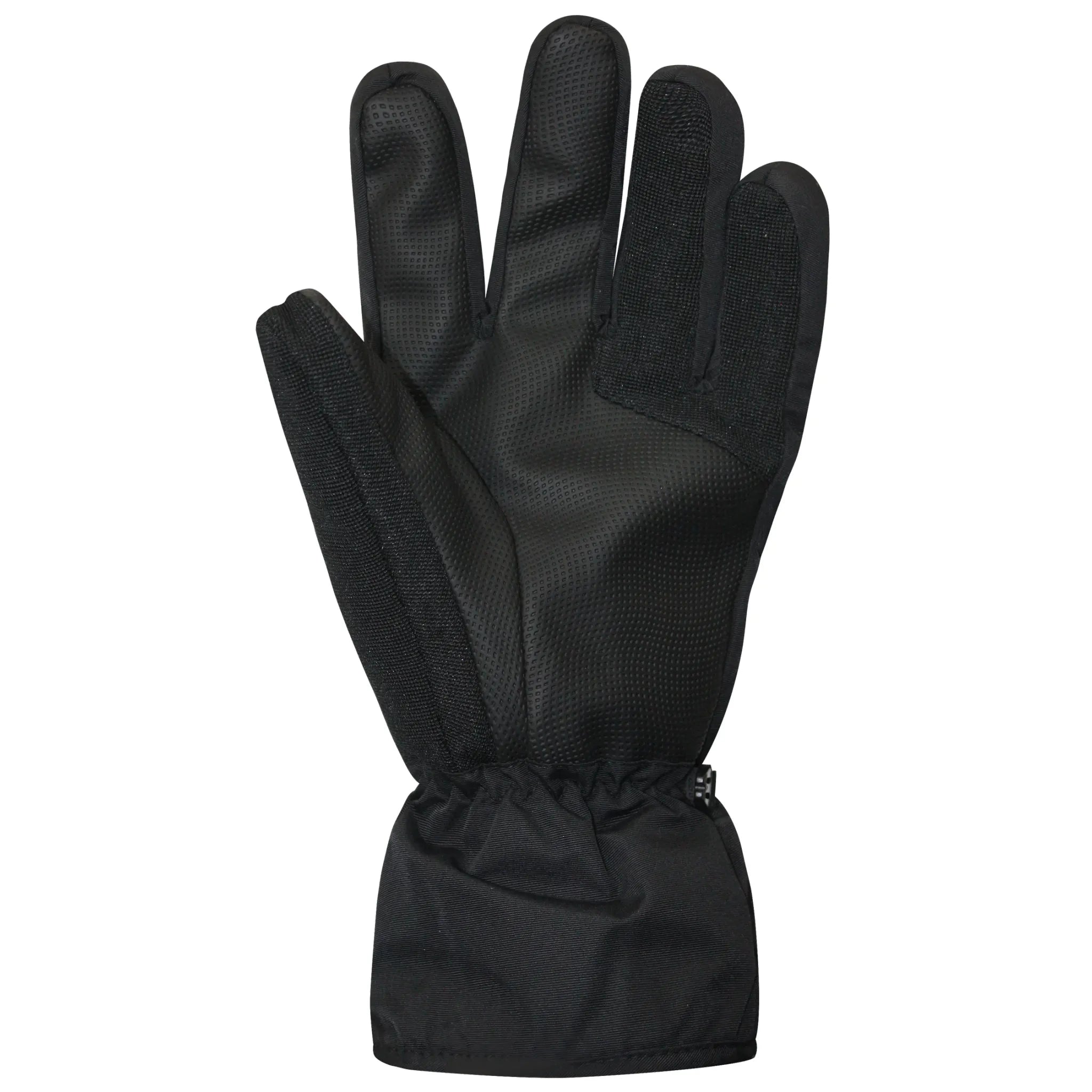 Auclair Men's Horizon Ski Gloves