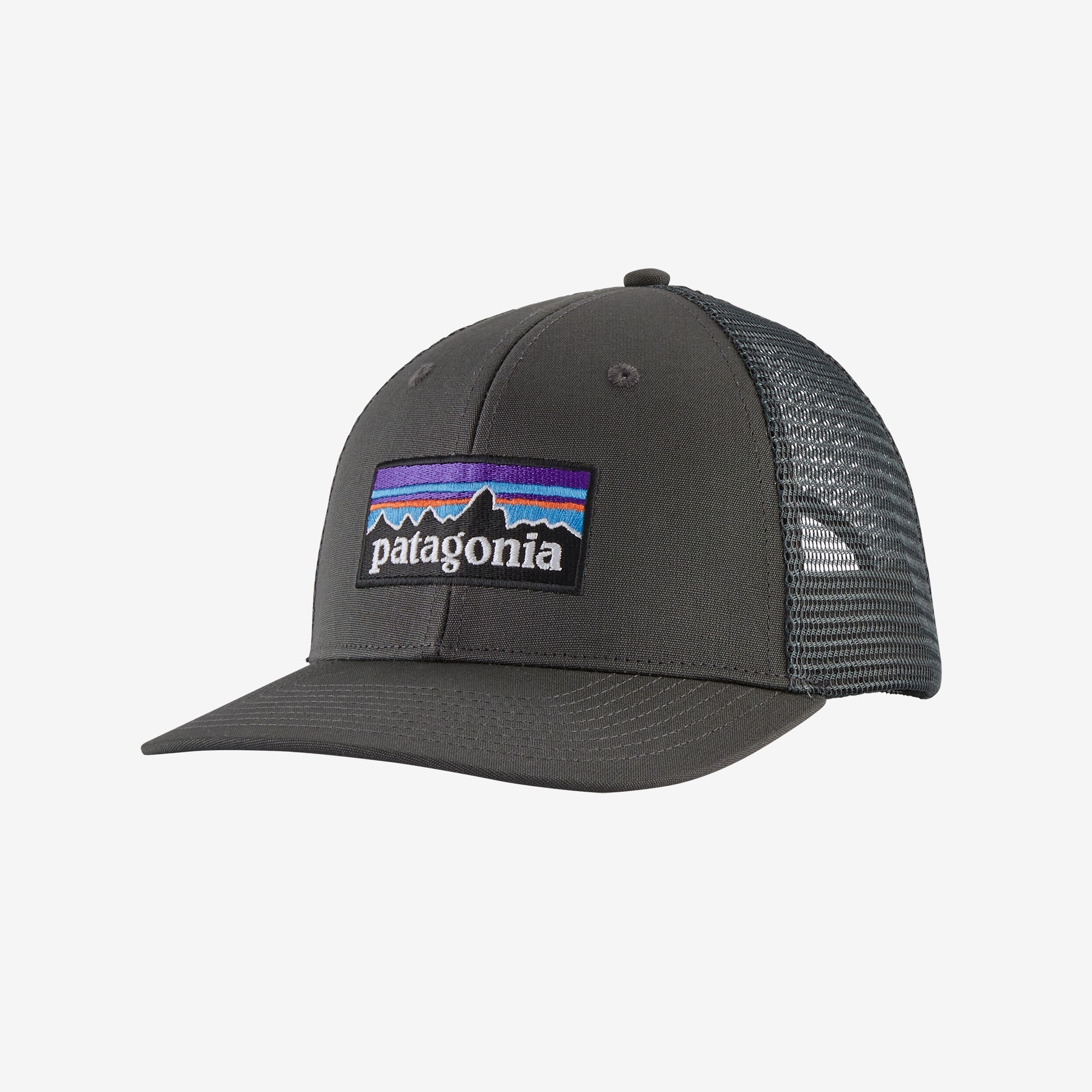 Patagonia P-6 Logo Trucker Cap