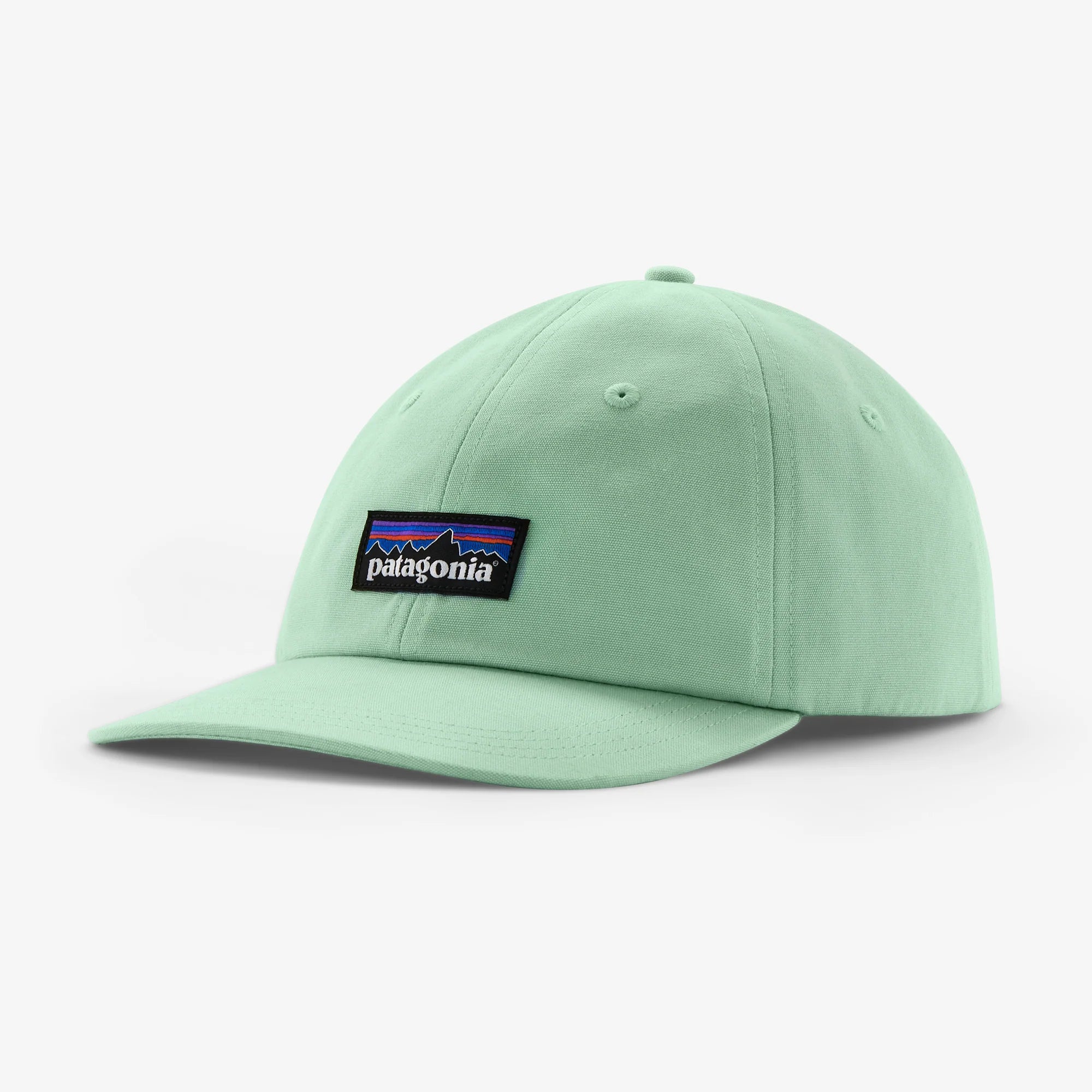Patagonia P-6 Label Trad Cap