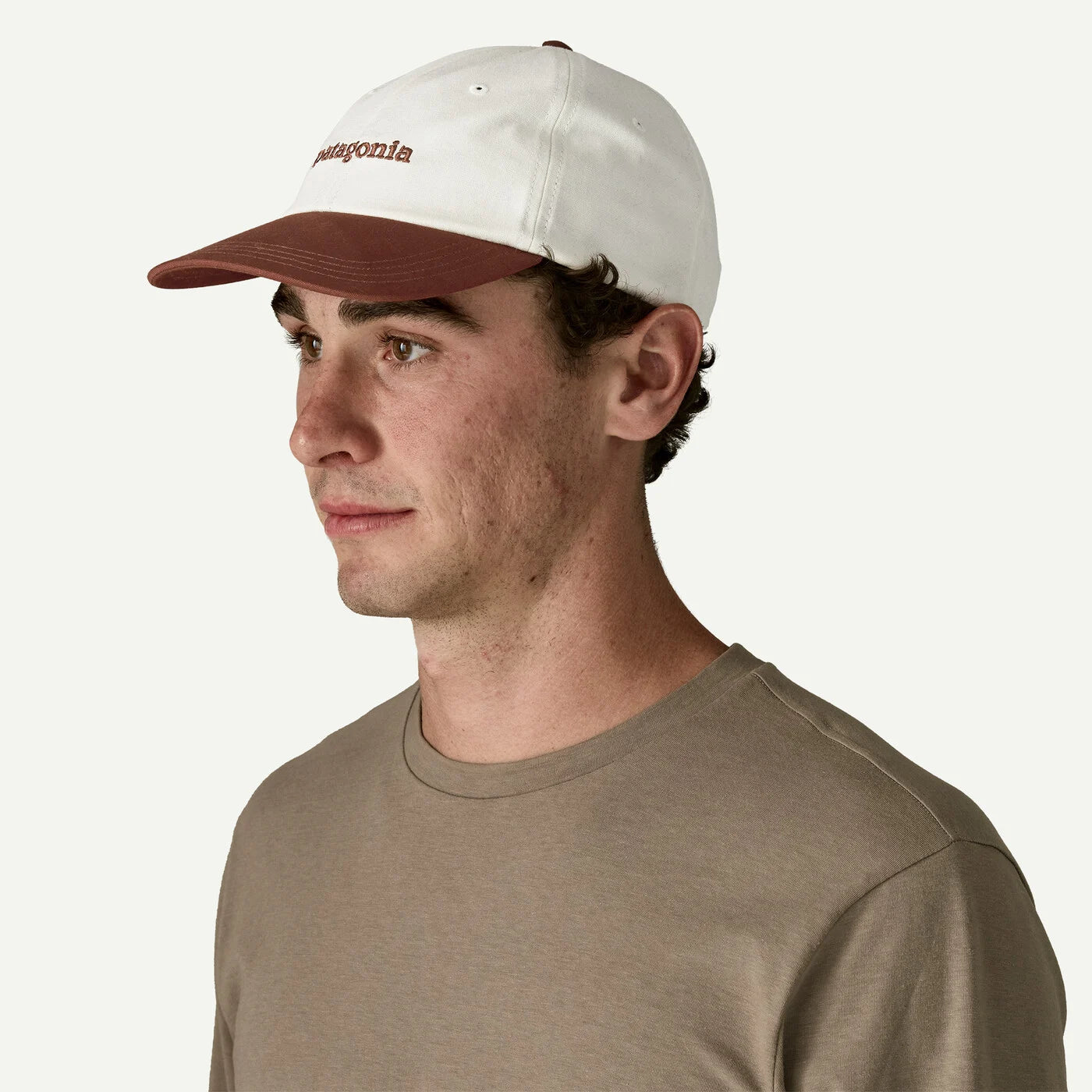 Patagonia Fitz Roy Icon Trad Cap