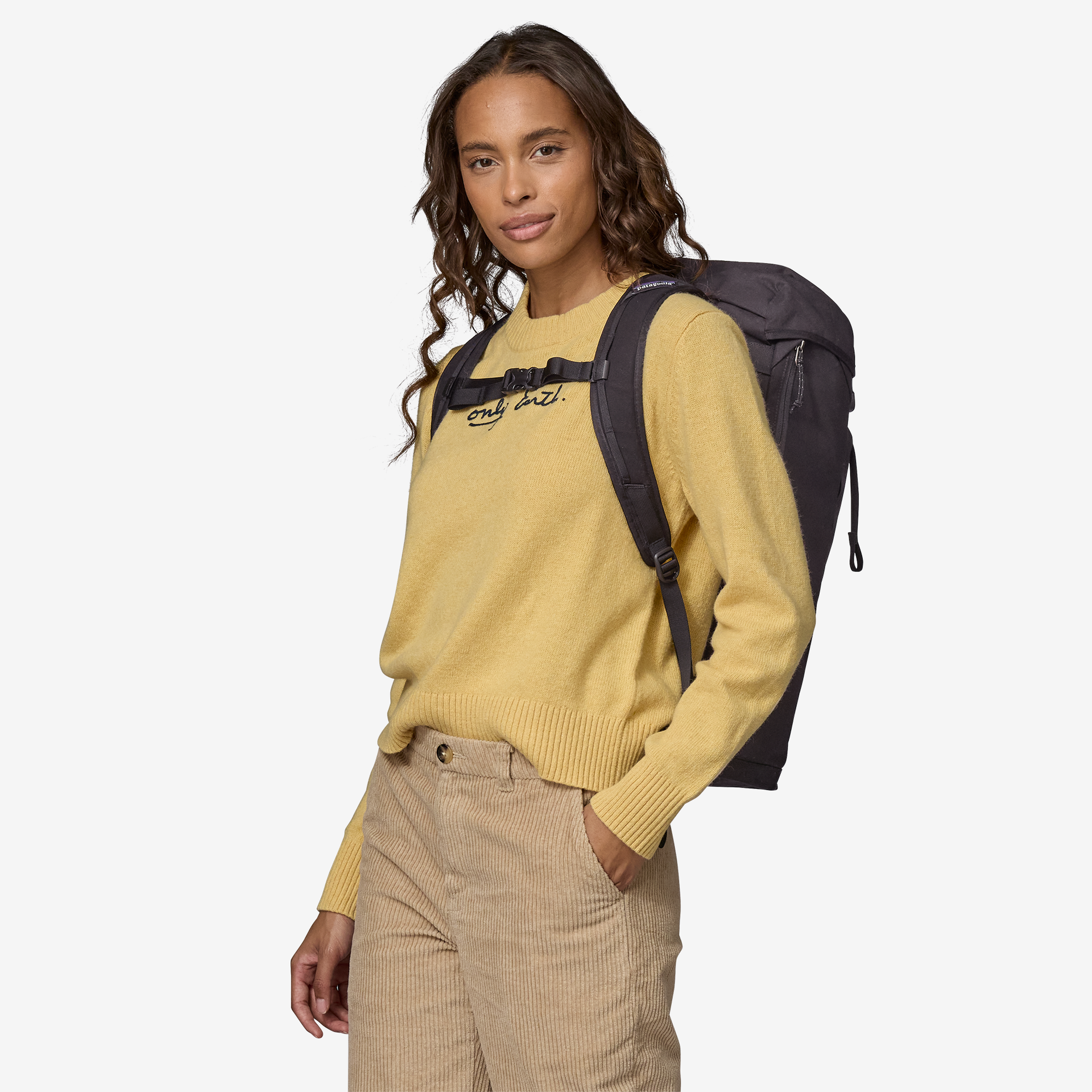 Patagonia Fieldsmith Lid Pack 28L