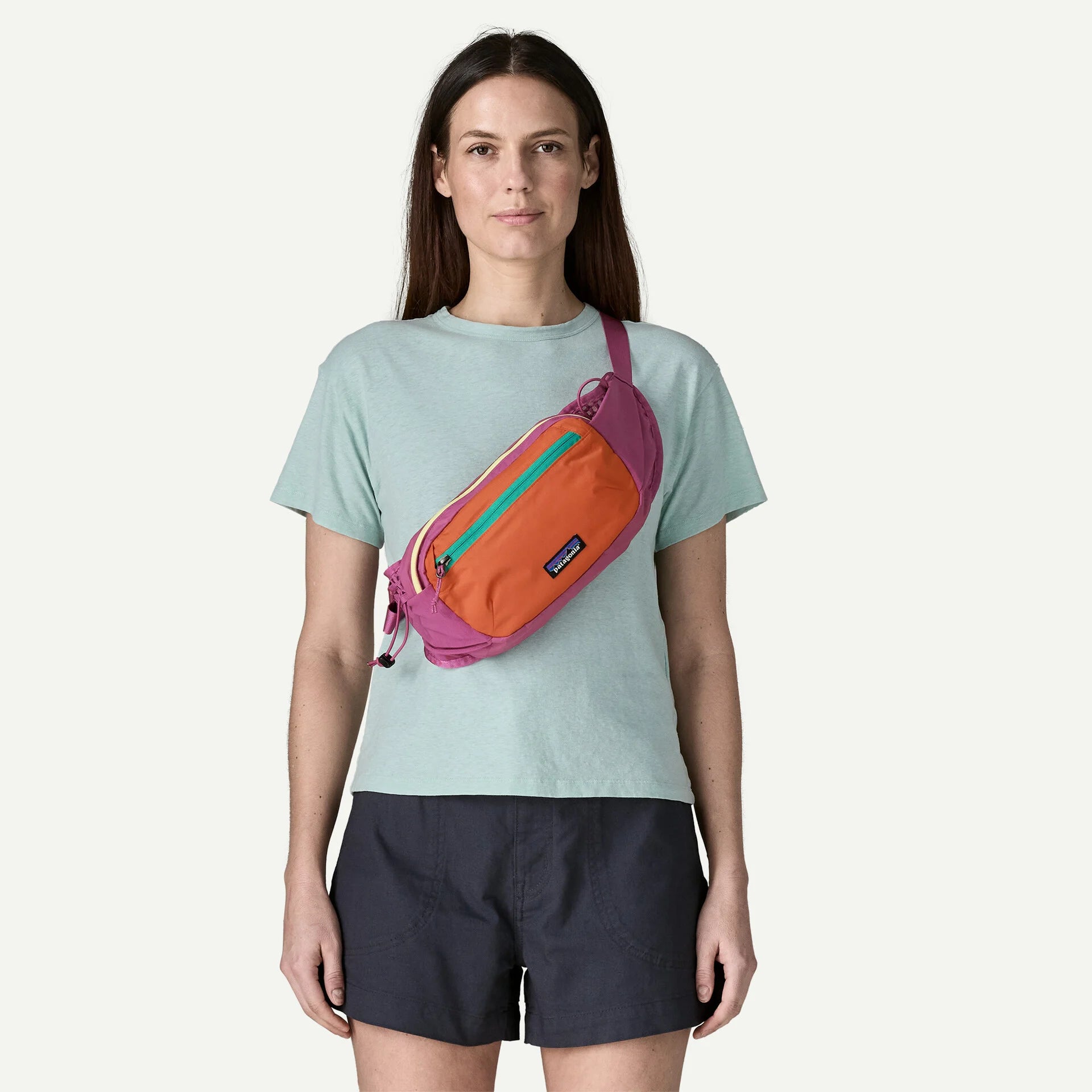 Patagonia Terravia Hip Pack