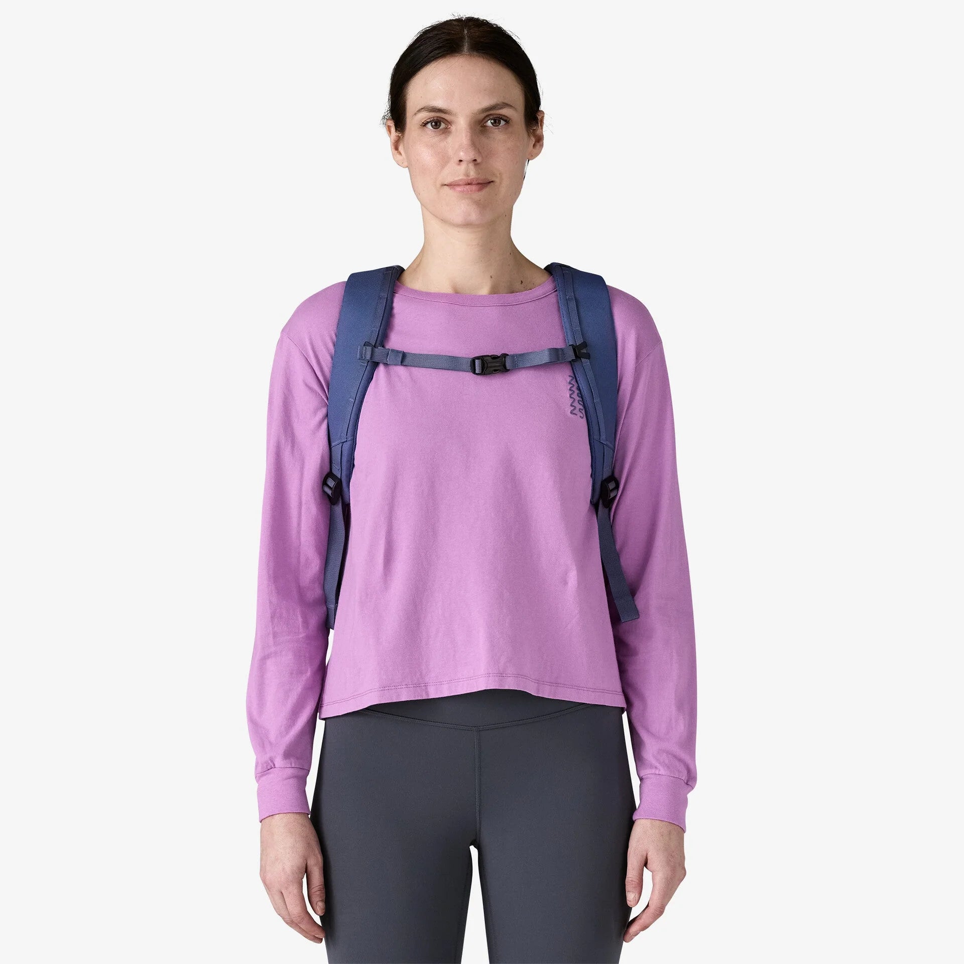 Patagonia Black Hole Pack 25L