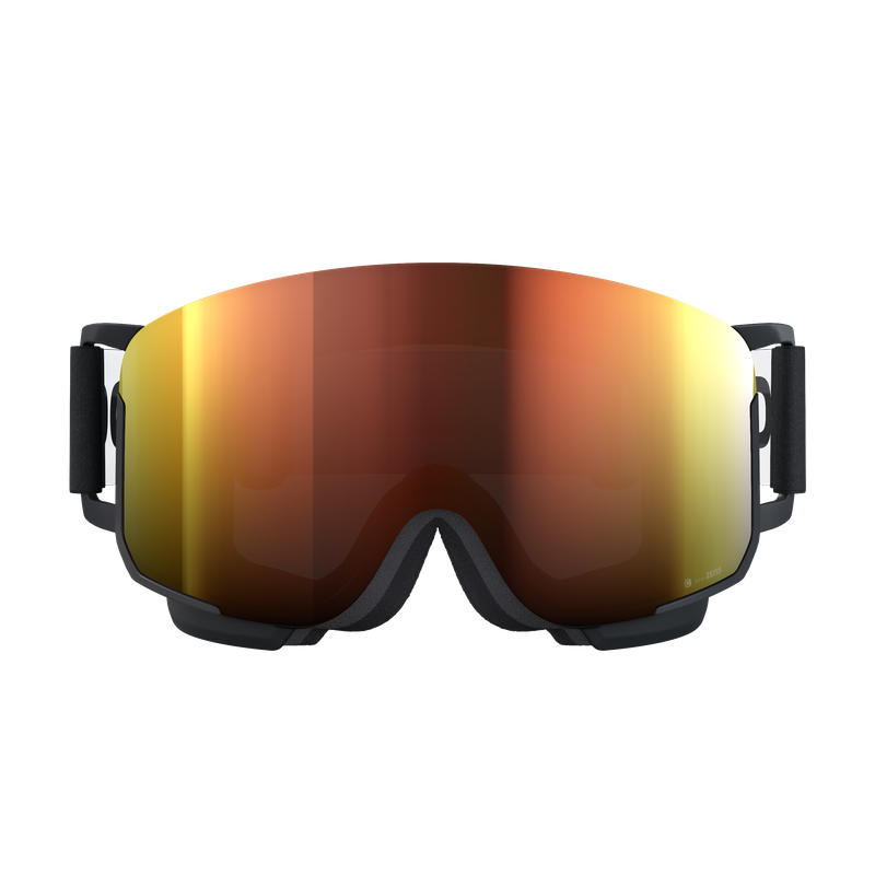 POC Nexal Ski Goggle