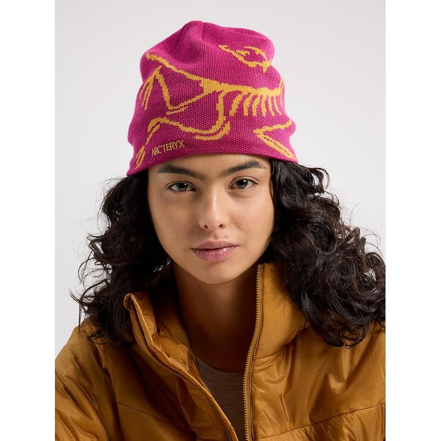 Arc'teryx Bird Head Toque Beanie