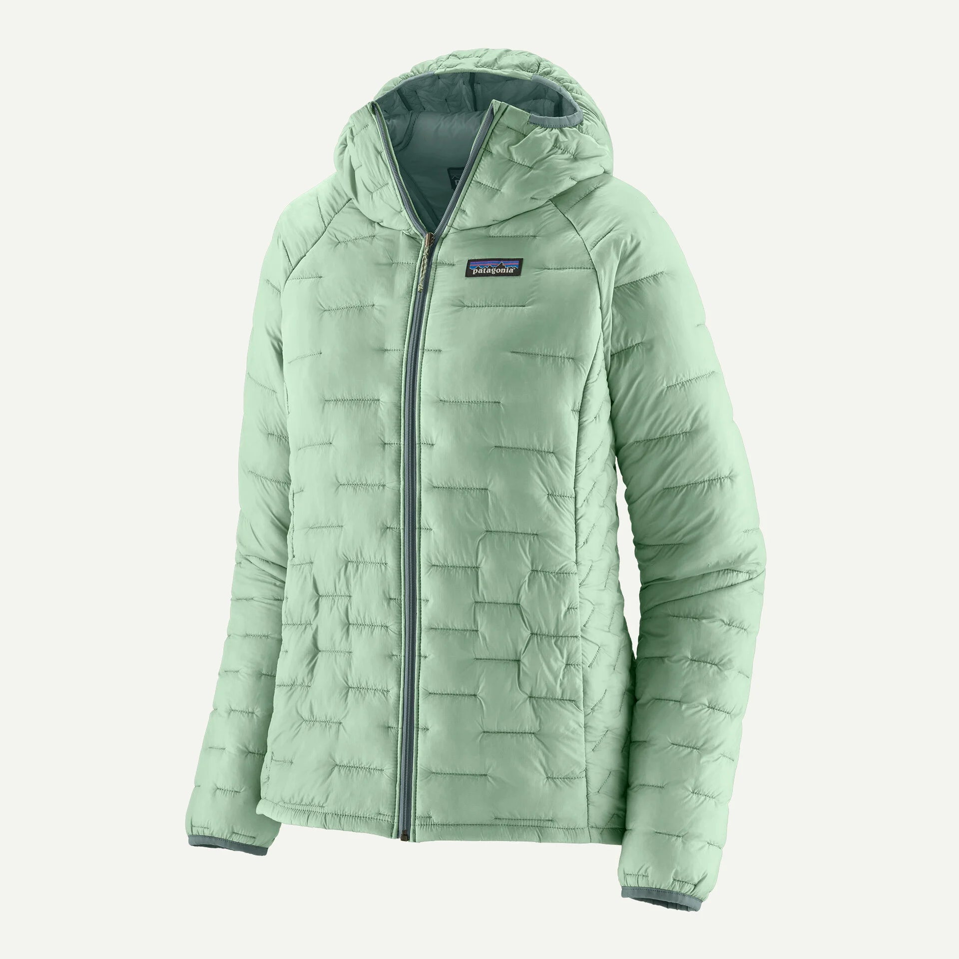 Patagonia Women's Micro Puff Hoody