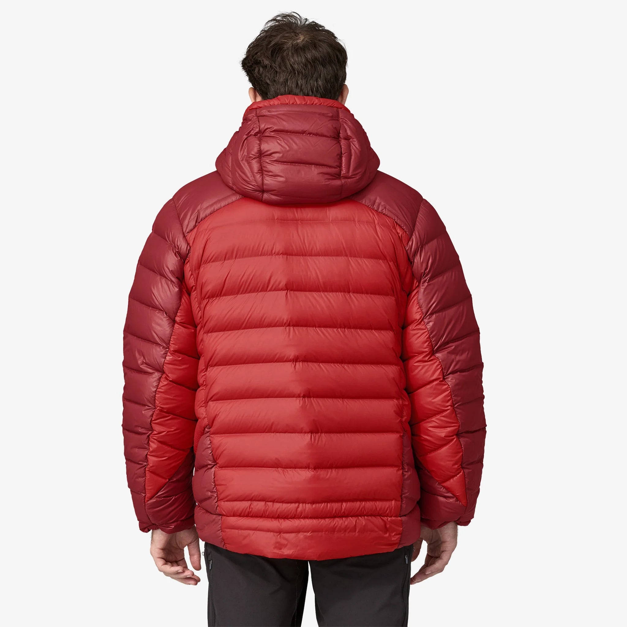 Patagonia Men's AlpLoft Down Parka