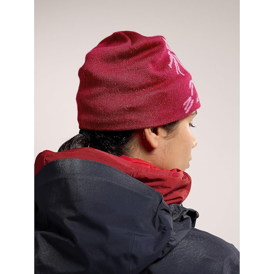 Arc'teryx Bird Head Toque Beanie