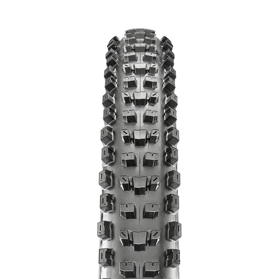 Maxxis 29x2.60 Dissector 3c/EXO/TR Maxx Terra Foldable