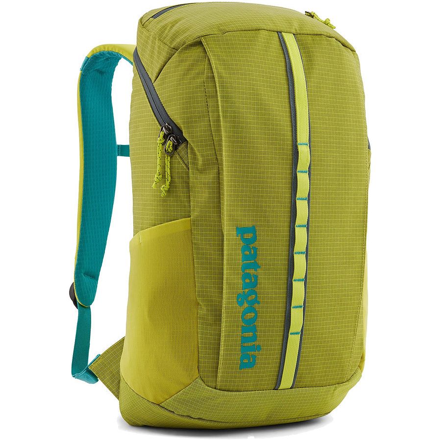 Patagonia Black Hole Pack 25L