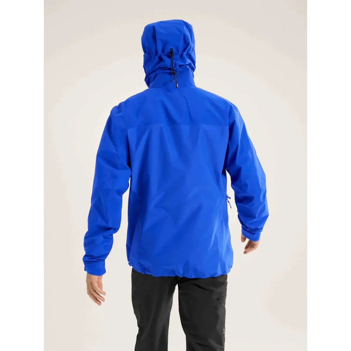 Arc'teryx Men's Beta AR Jacket