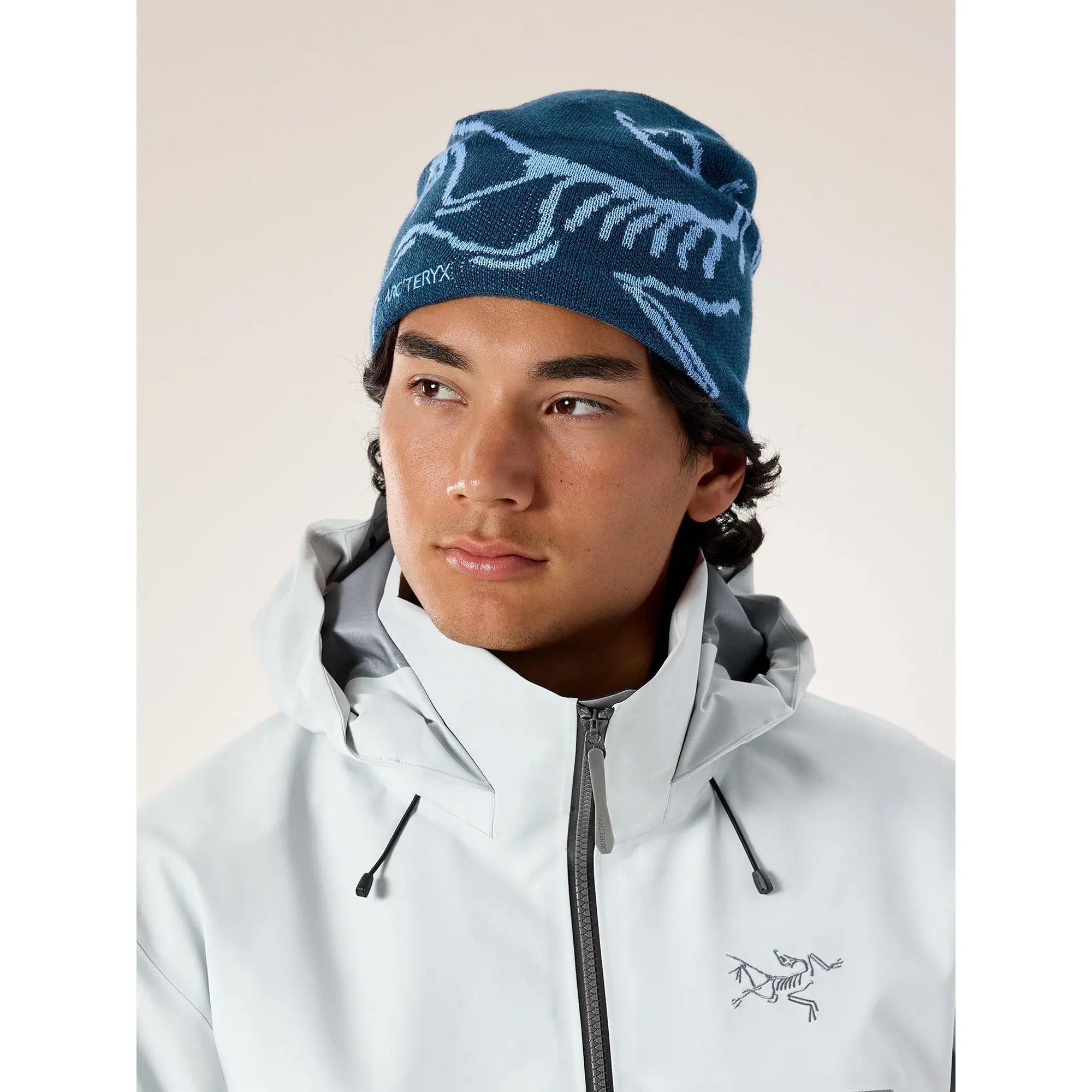 Arc'teryx Bird Head Toque Beanie