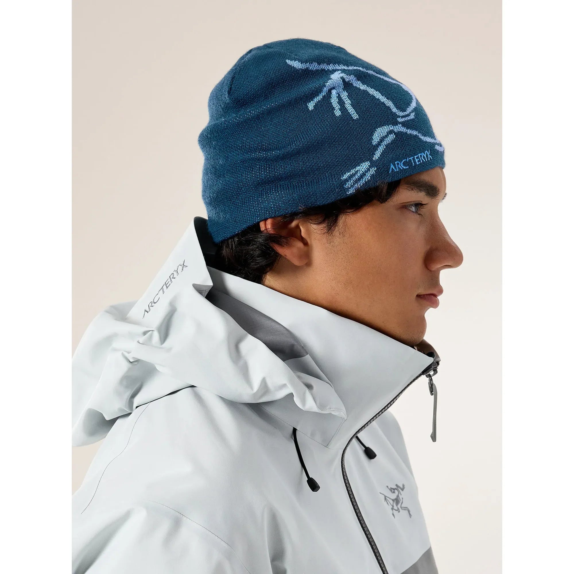 Arc'teryx Bird Head Toque Beanie