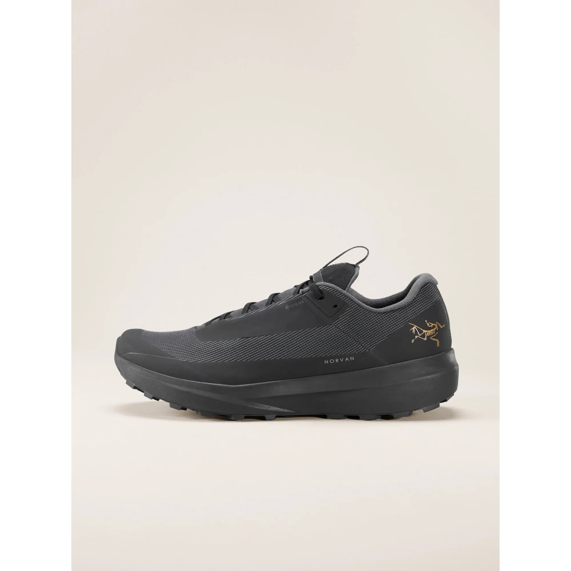 Arc'teryx Men's Norvan LD 4 Gore-Tex Trail Running Shoes