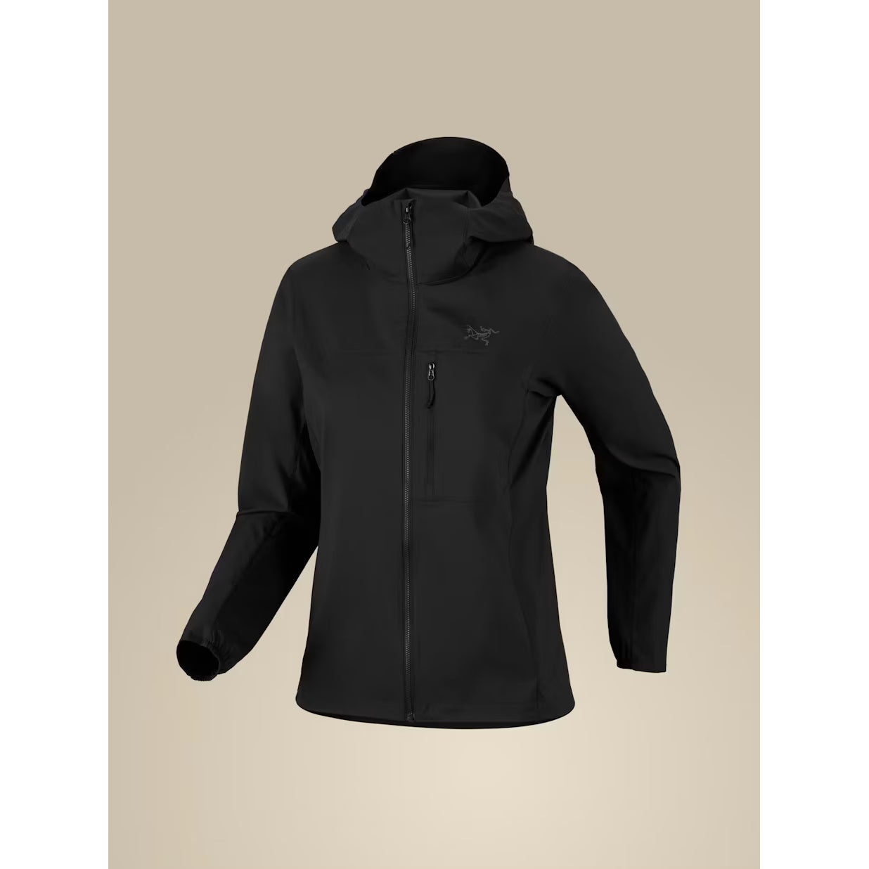 Arc'teryx Women's Squamish Hoody