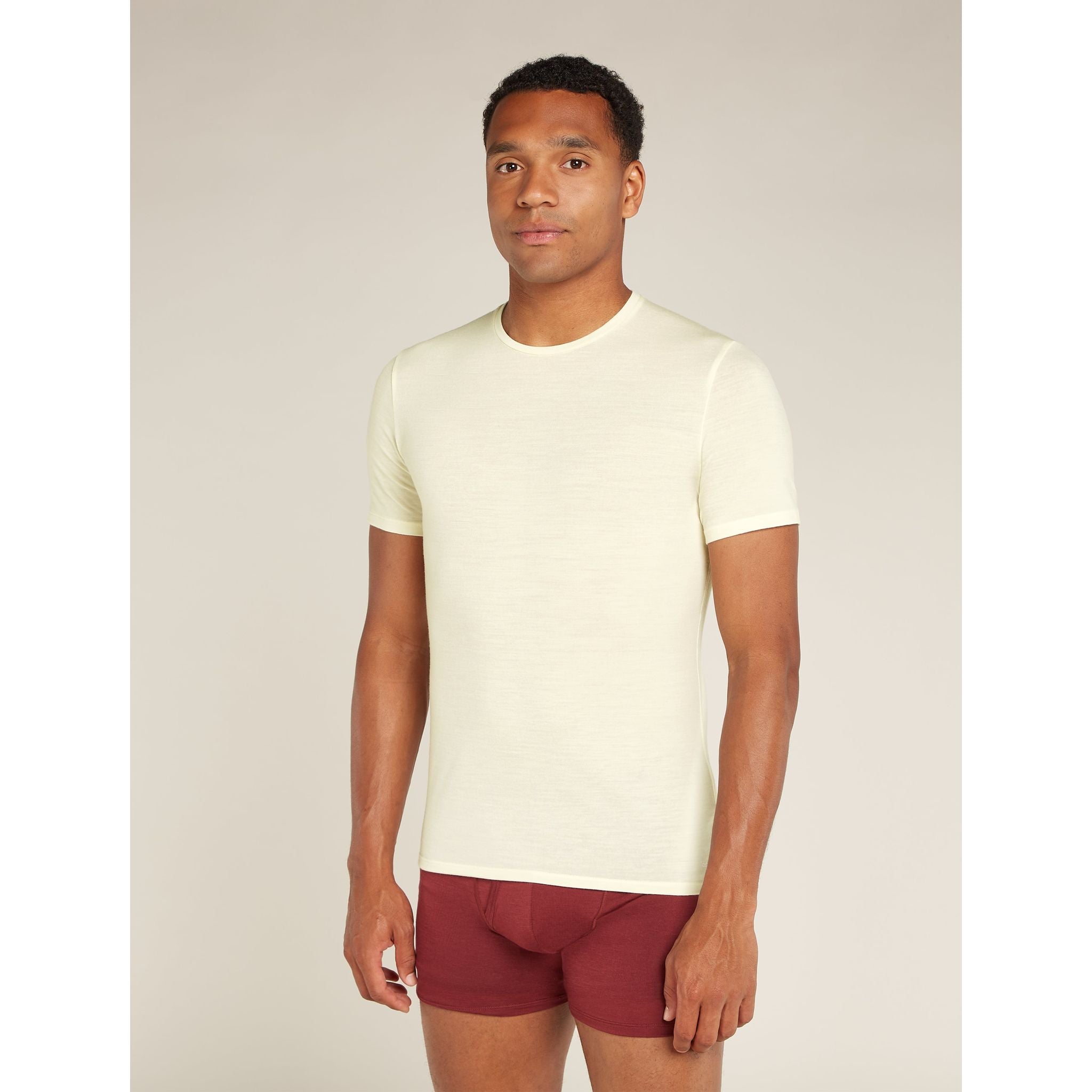 Icebreaker Men's Merino Anatomica Crewe T-shirt