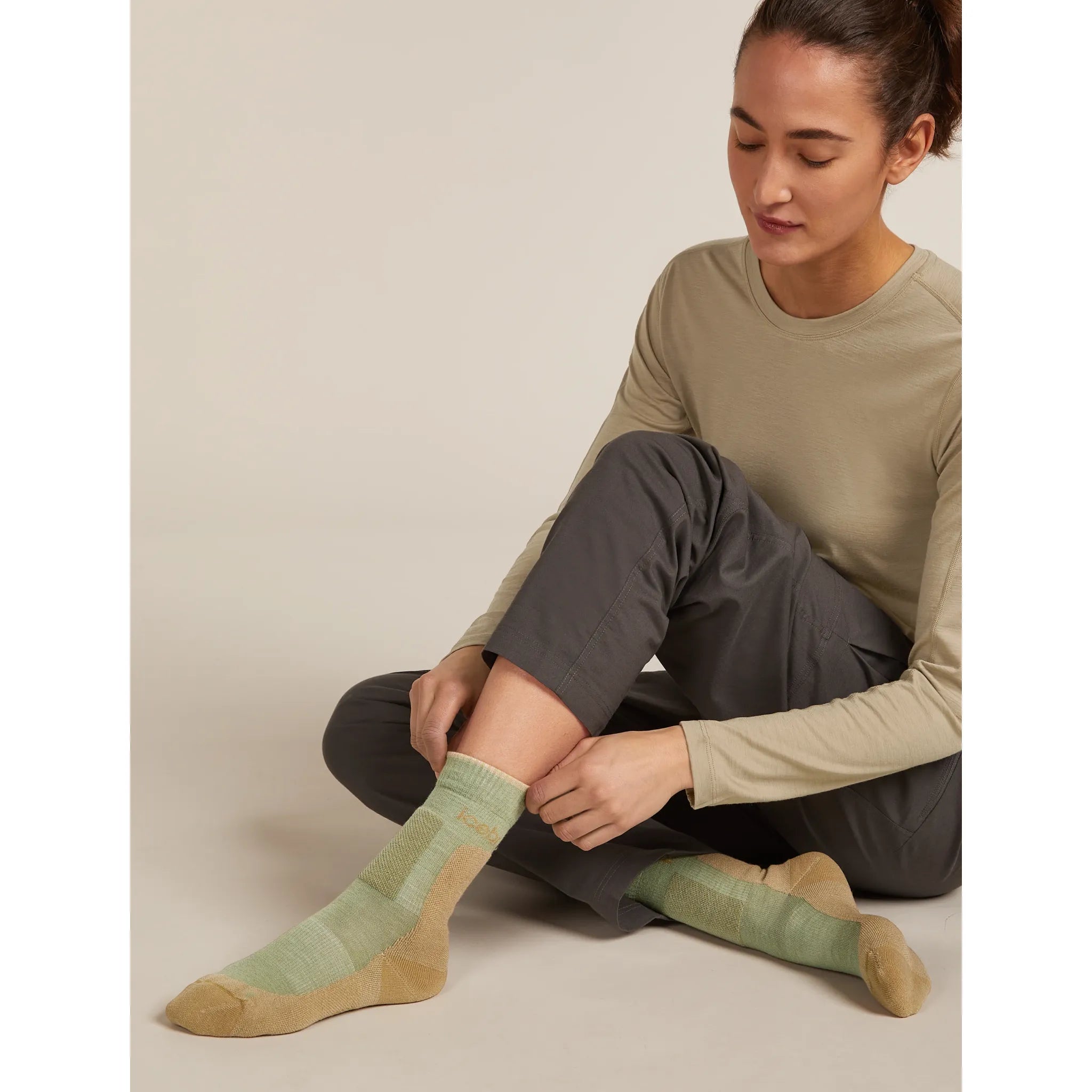 Icebreaker Women's Merino Hike+ Medium Crew Socks