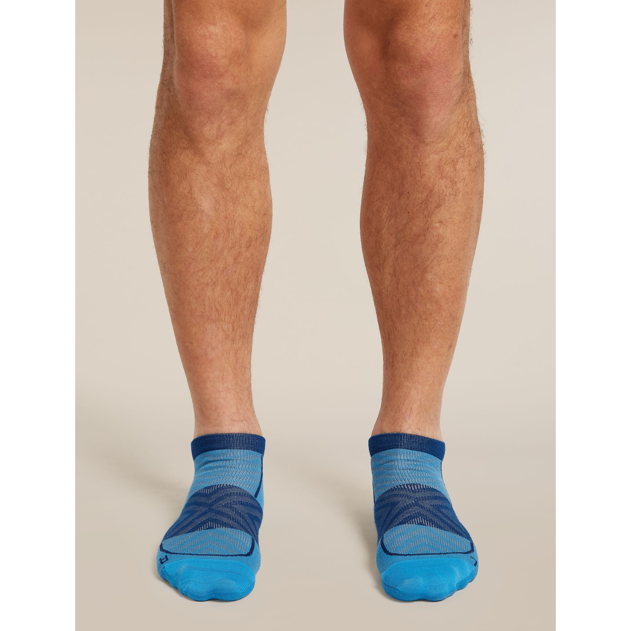 Icebreaker Men's Merino Blend Run+ Ultralight Micro Socks
