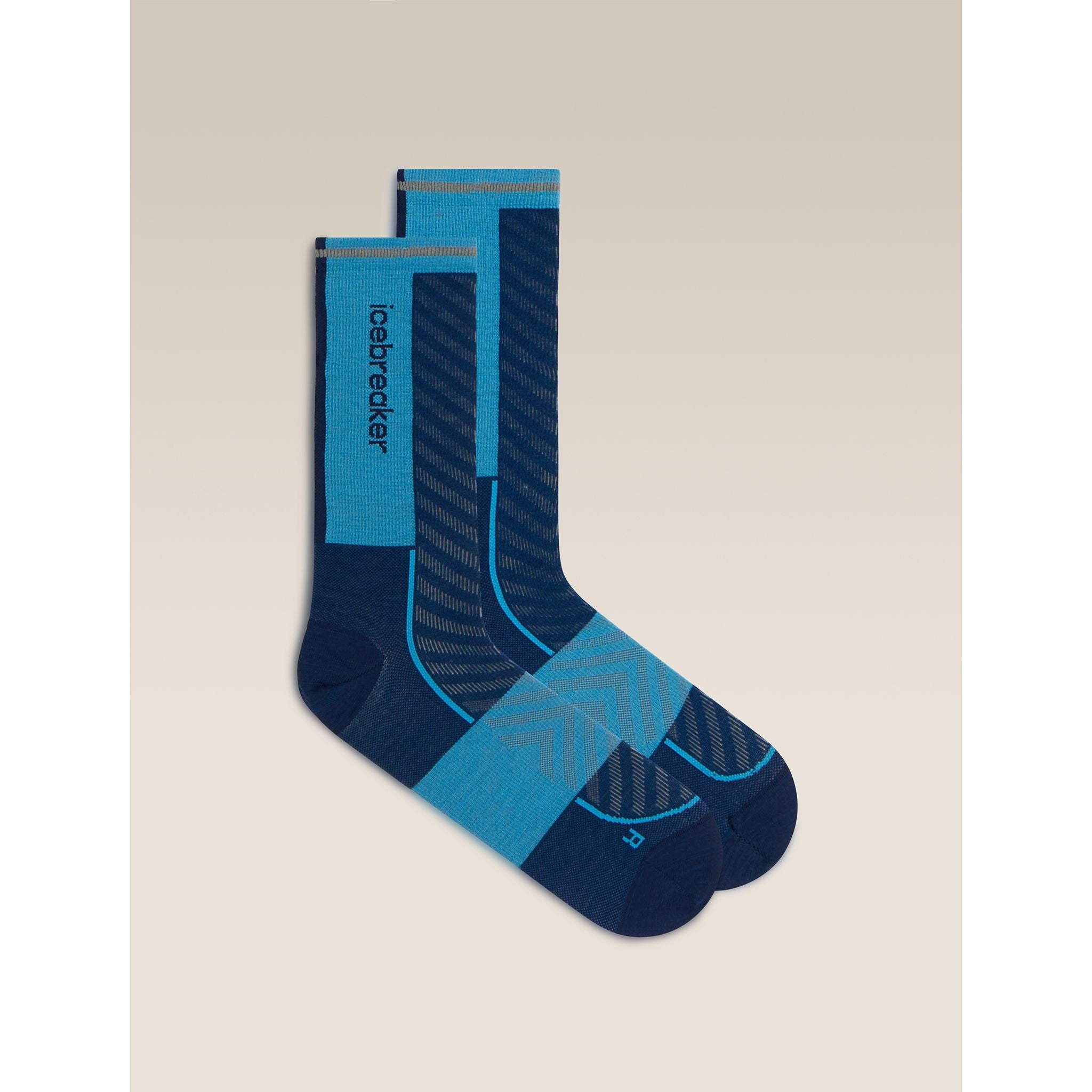 Icebreaker Men's Merino Blend Run+ Ultralight Crew Sock