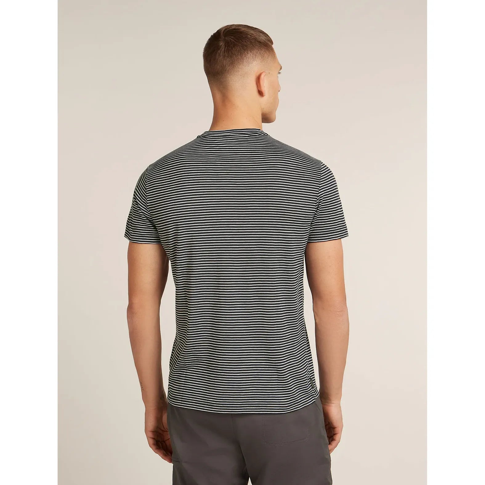 Icebreaker Men's Merino 150 Tech Lite T-Shirt