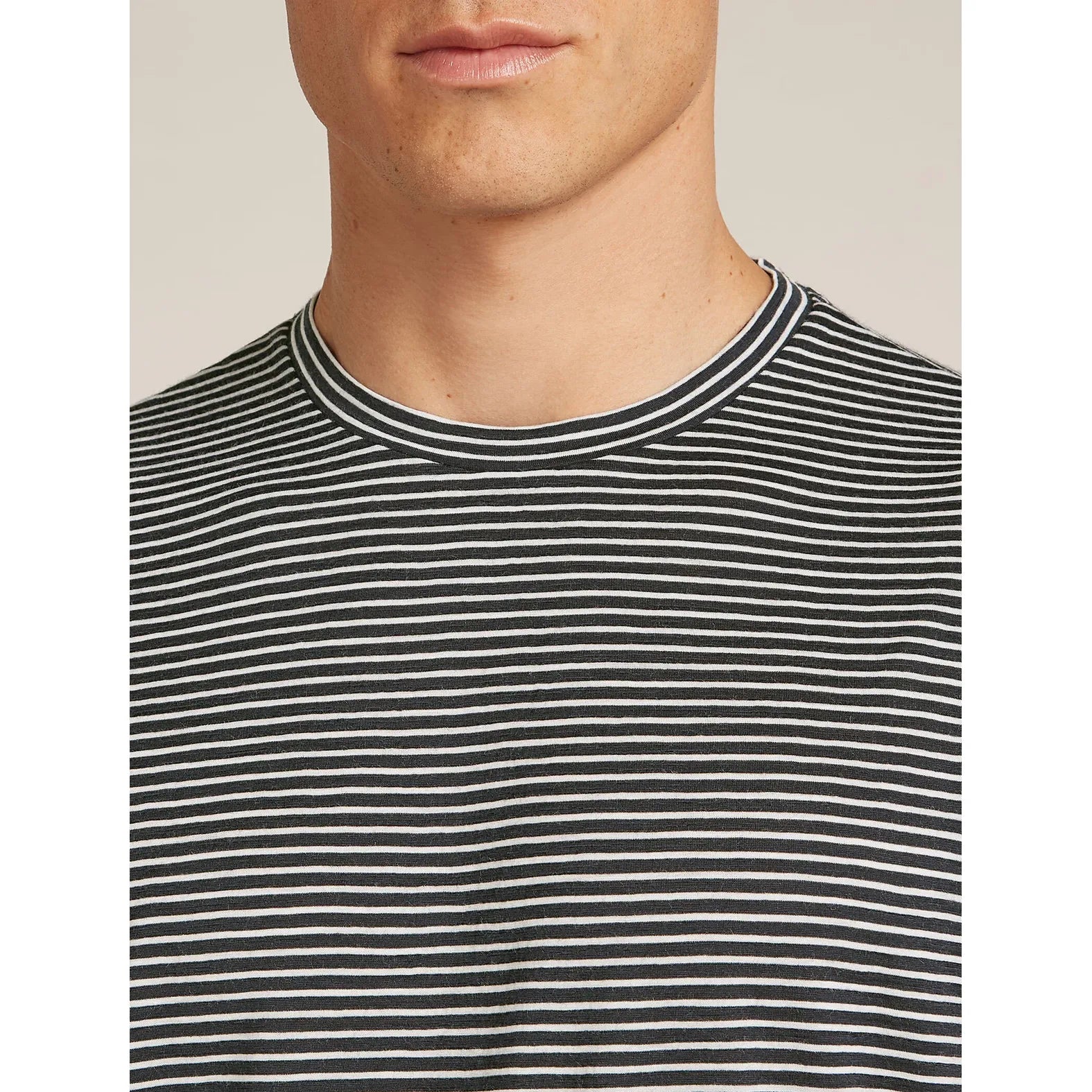 Icebreaker Men's Merino 150 Tech Lite T-Shirt