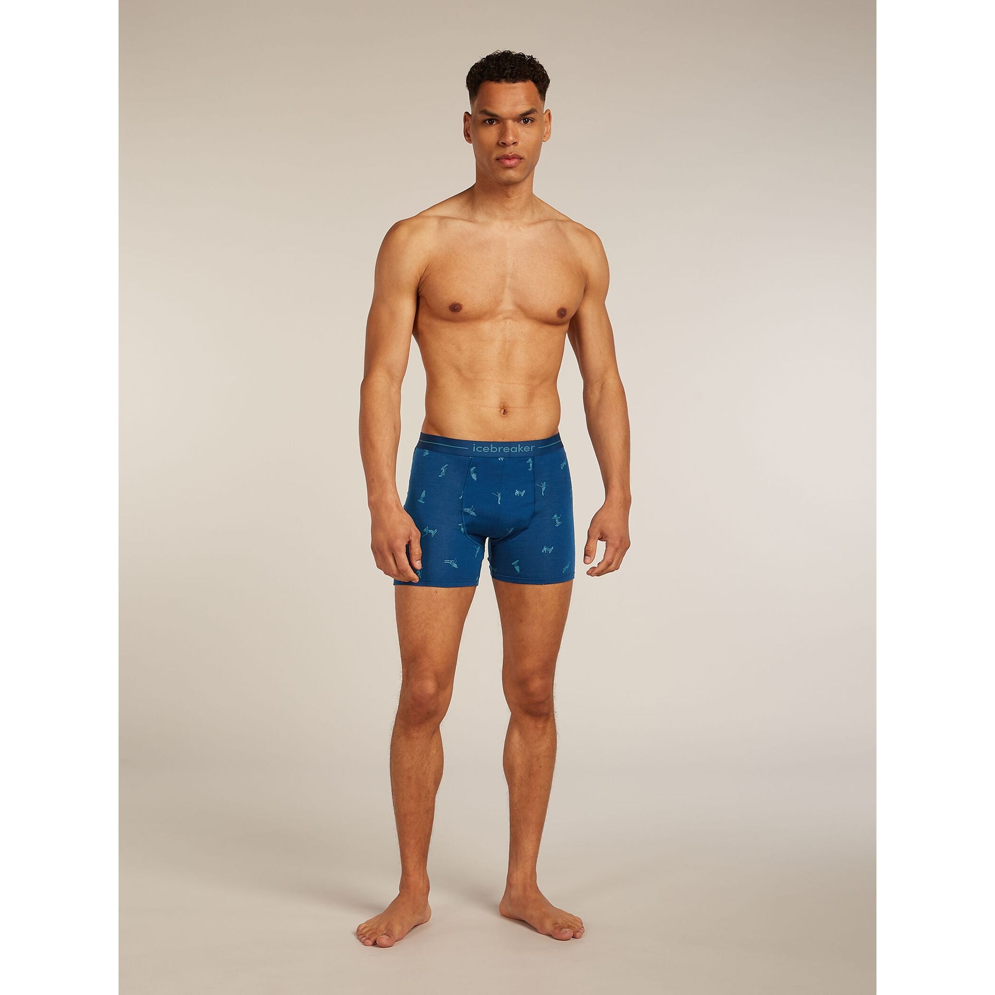 Icebreaker Men's Merino 150 Anatomica Boxers Ski Day